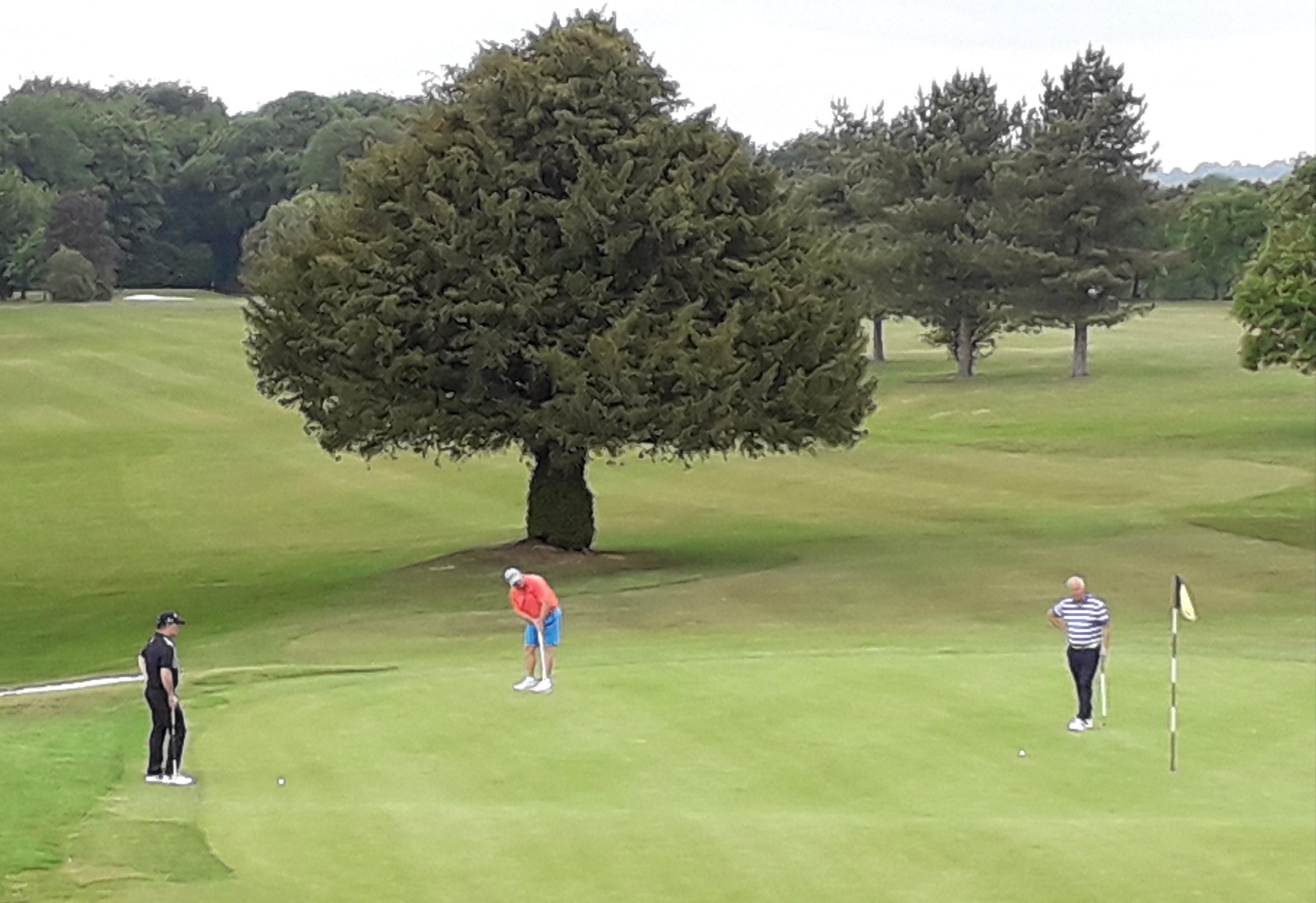 Penfold Ace Hampshire County Golf Union promotes golf not only